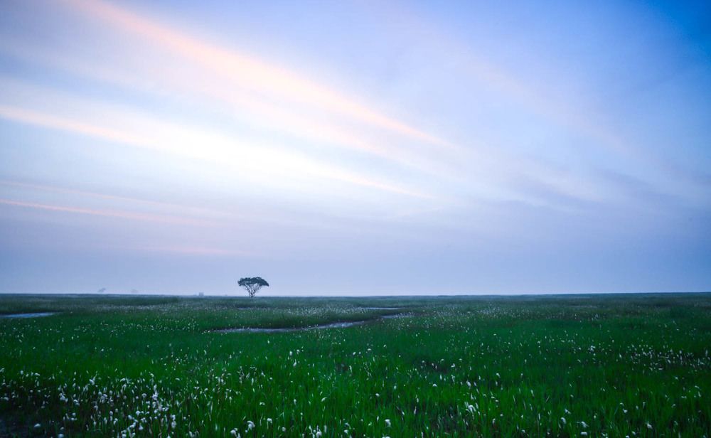 Photograph by Myunggyu Bae