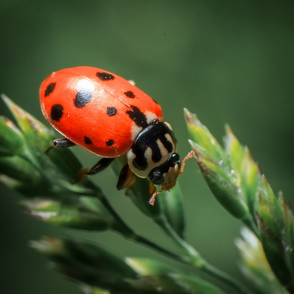 Фотография автора Васильев Игорь