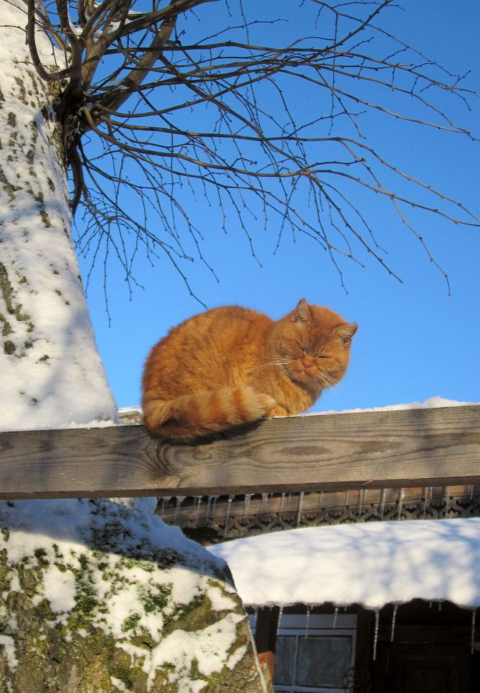 Photograph by Михаил Попов