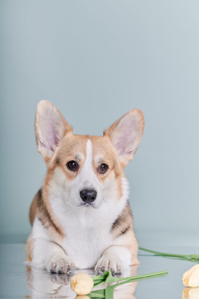 Photograph by Ирина Оболенская