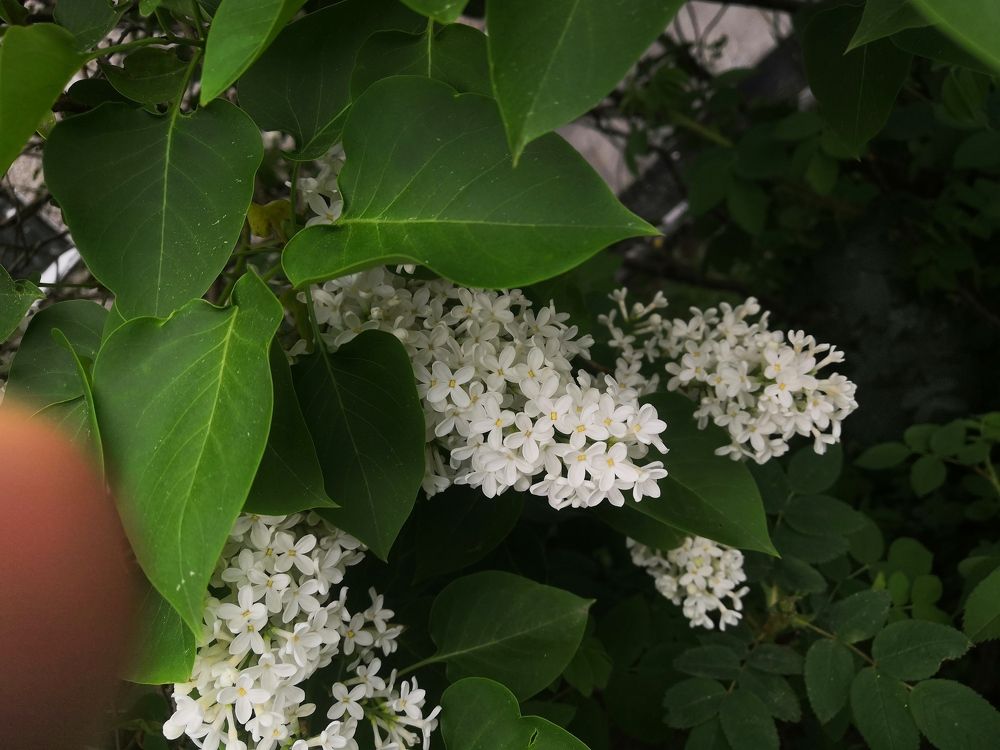 Photograph by Анастасия Скоркина