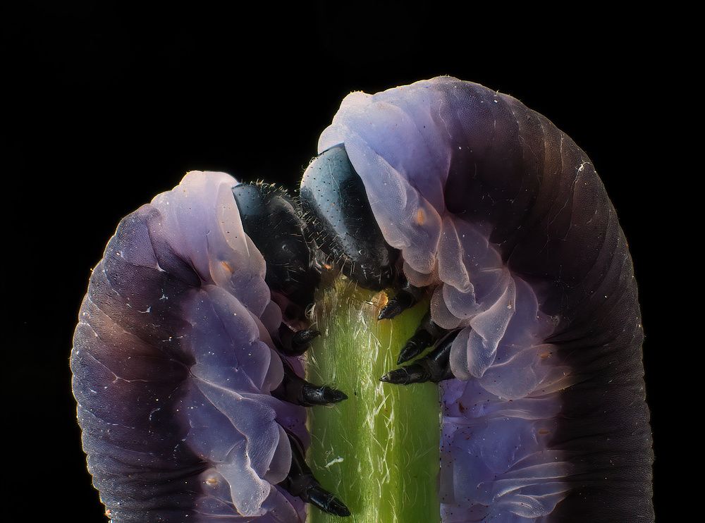 Photograph by Li Chen-You