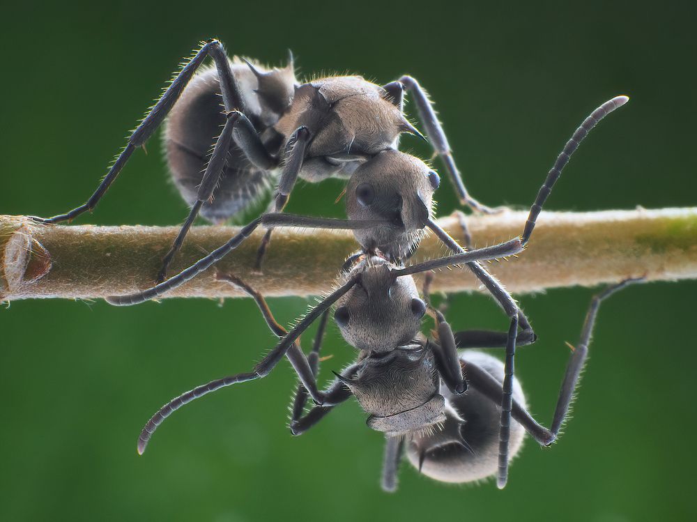 Photograph by Li Chen-You