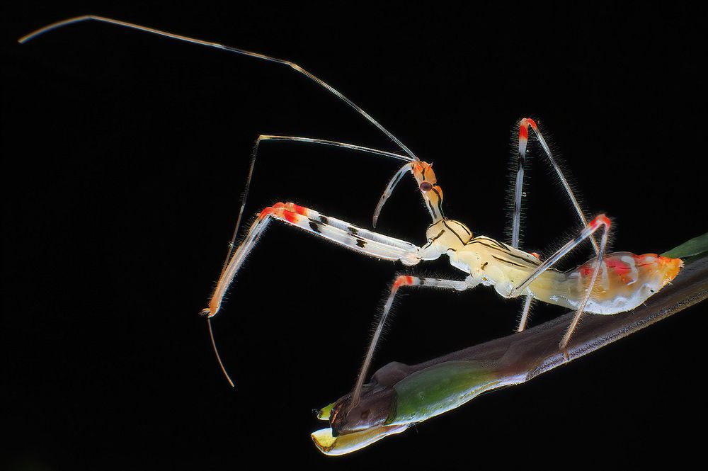 Photograph by Li Chen-You