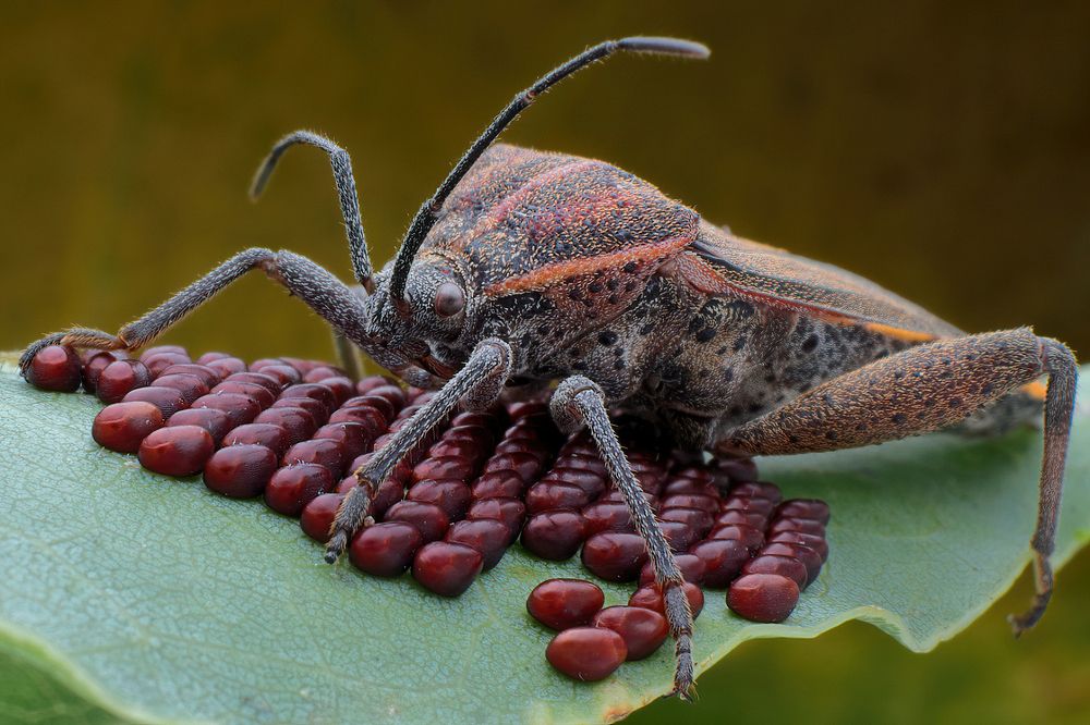 Photograph by Li Chen-You