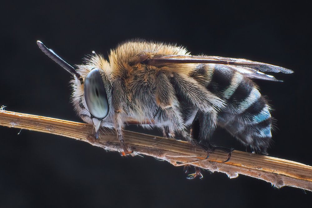 Photograph by Li Chen-You