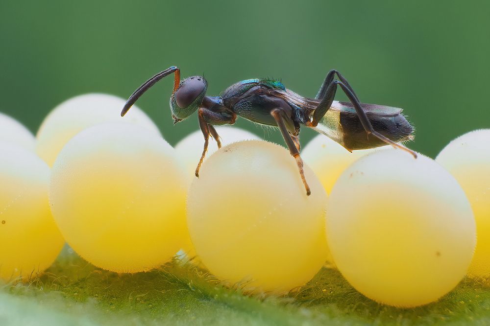 Photograph by Li Chen-You