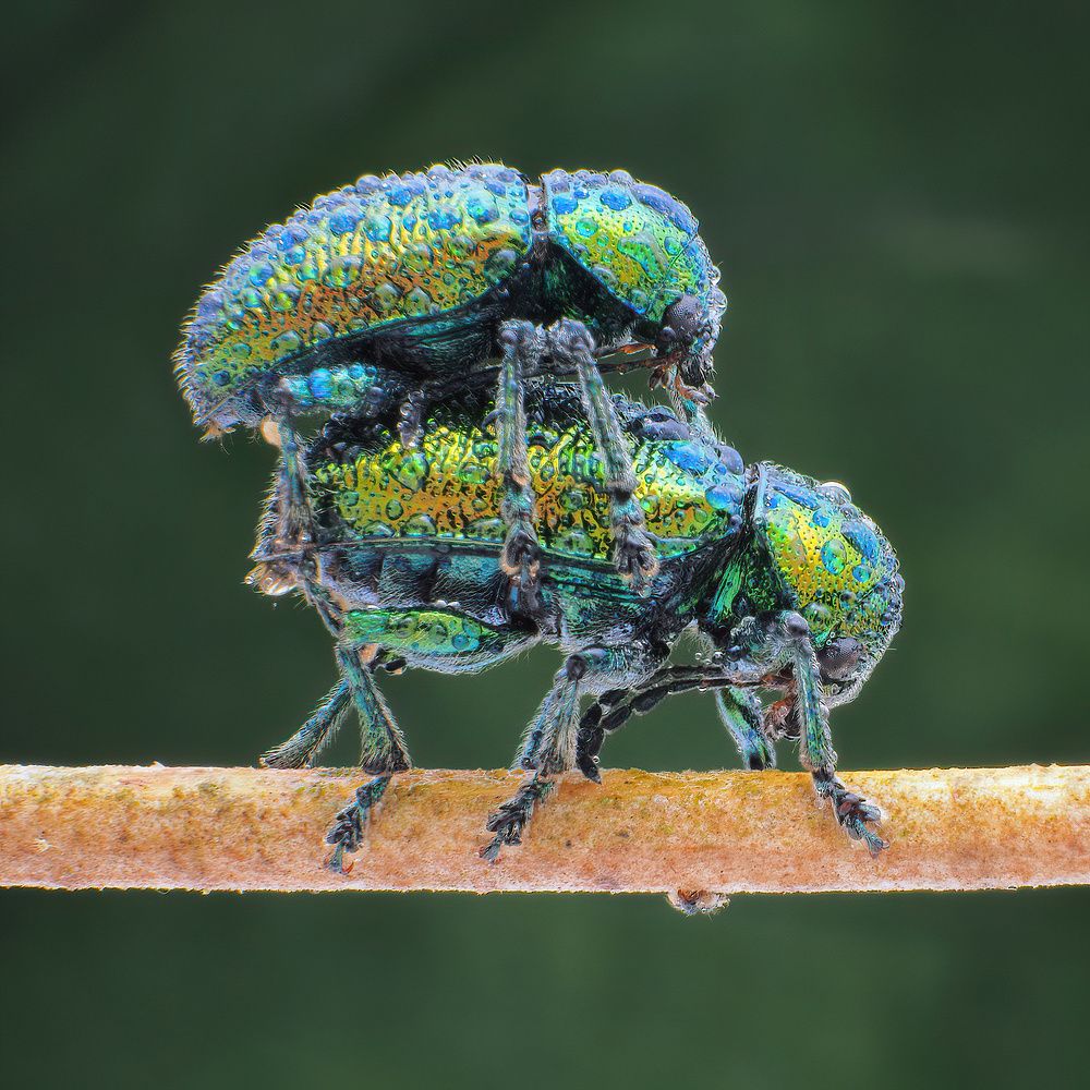 Photograph by Li Chen-You