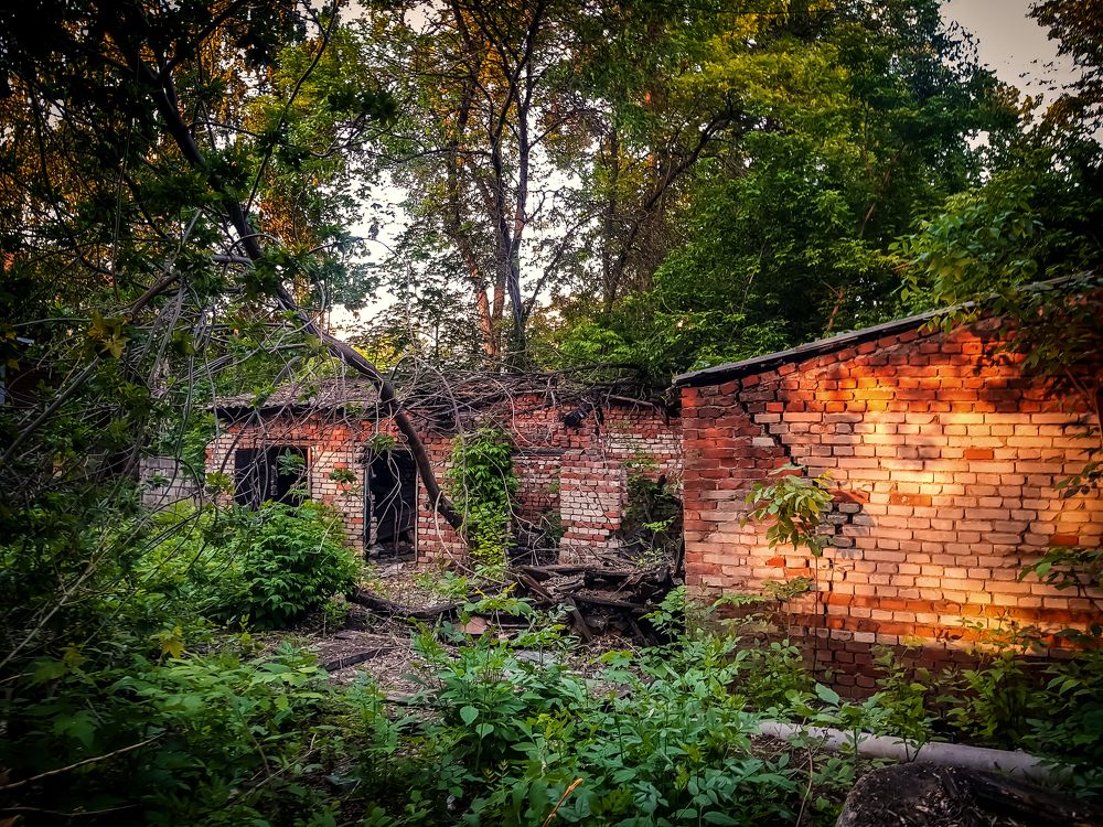 Photograph by arkadii Ануфриев