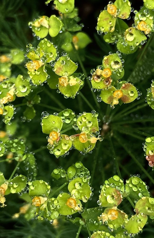 Photograph by Ольга Панова