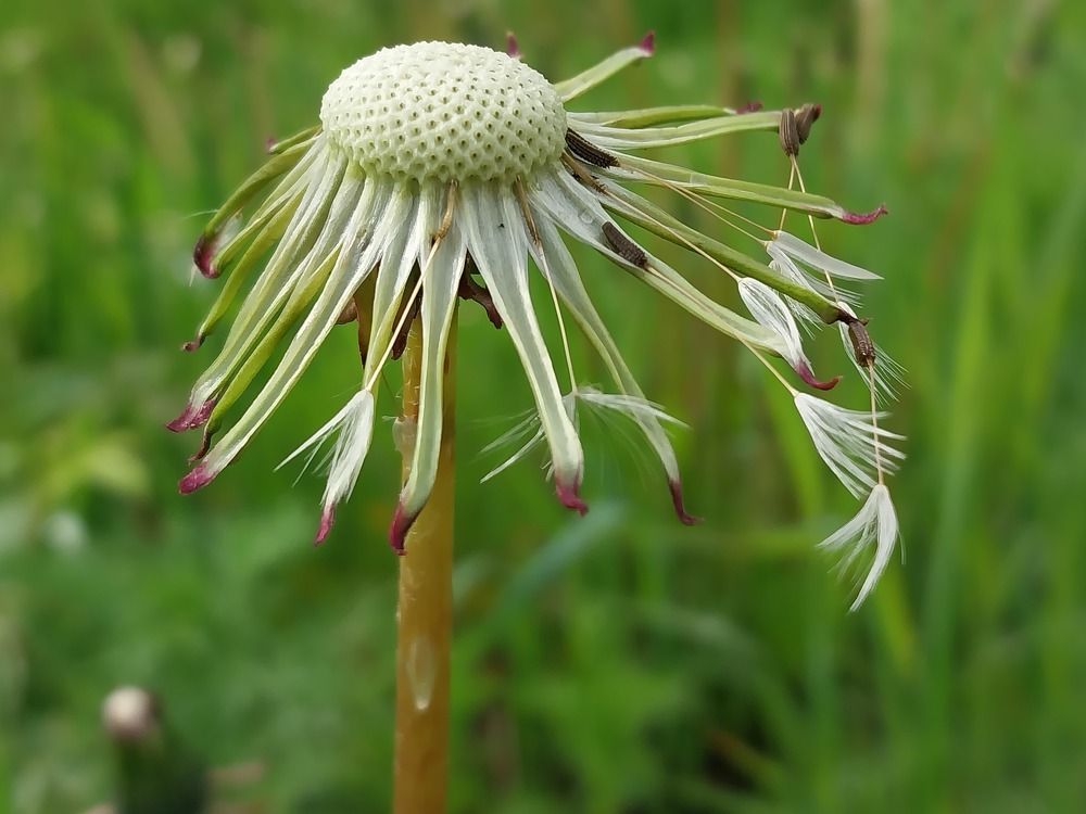 Photograph by Юлия Фирман