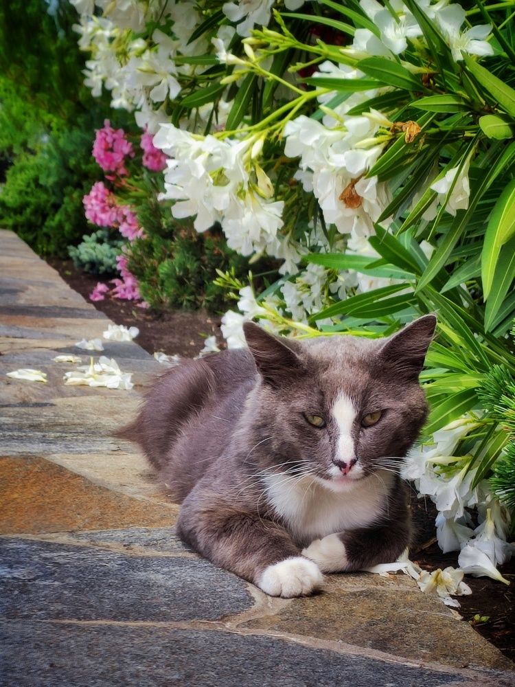 Photograph by Anastasia Malyukova