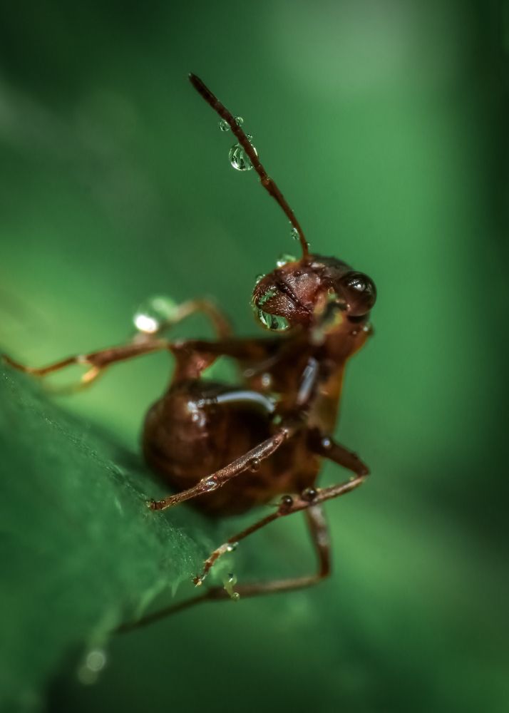 Фотография автора Игорь Васильев
