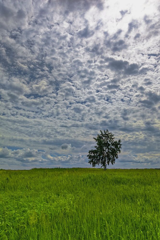 Photograph by Кузнецов Дмитрий