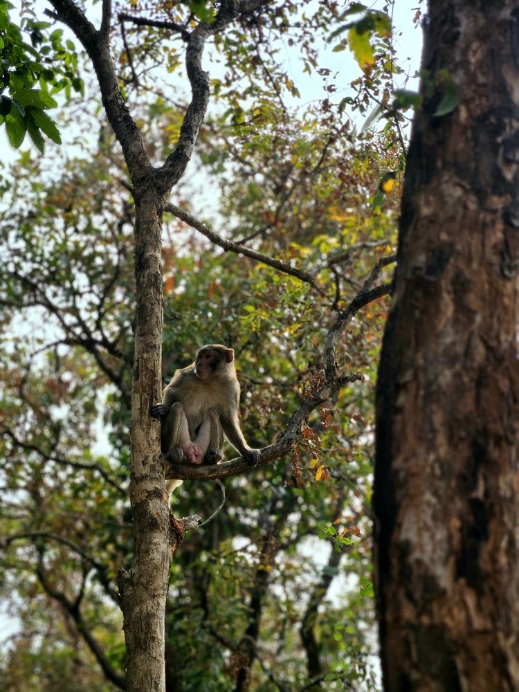 Photograph by Venkatesh Rao