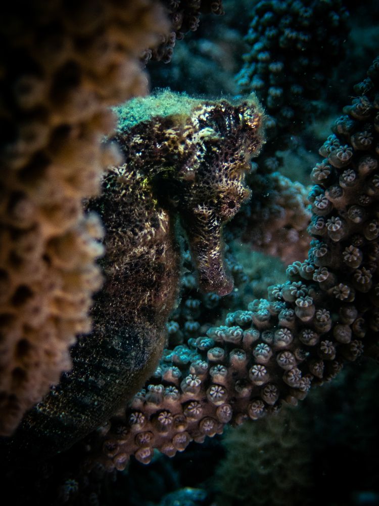 Photograph by Leidy Alvarez