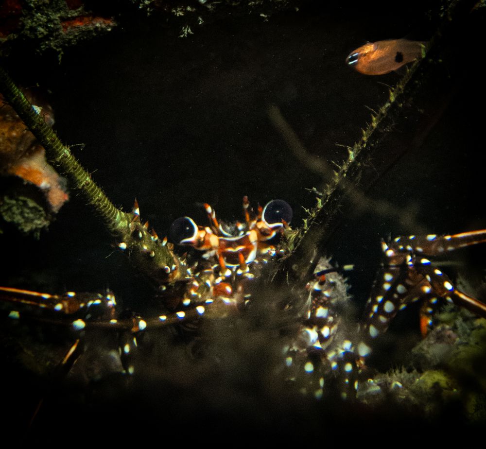 Photograph by Leidy Alvarez