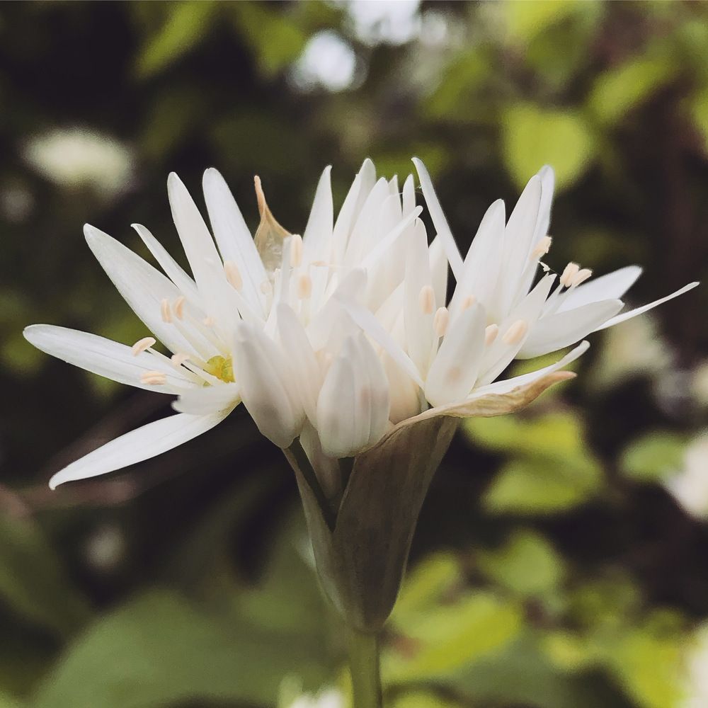 Photograph by Valentina Jegorova