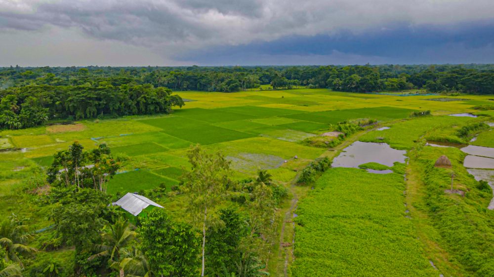 Photograph by Md Rokibul Hasan