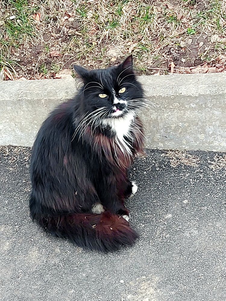 Photograph by Мария Тафеенко