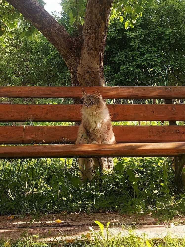 Photograph by Мария Тафеенко