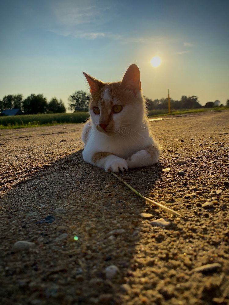 Photograph by Alexey Nuzha