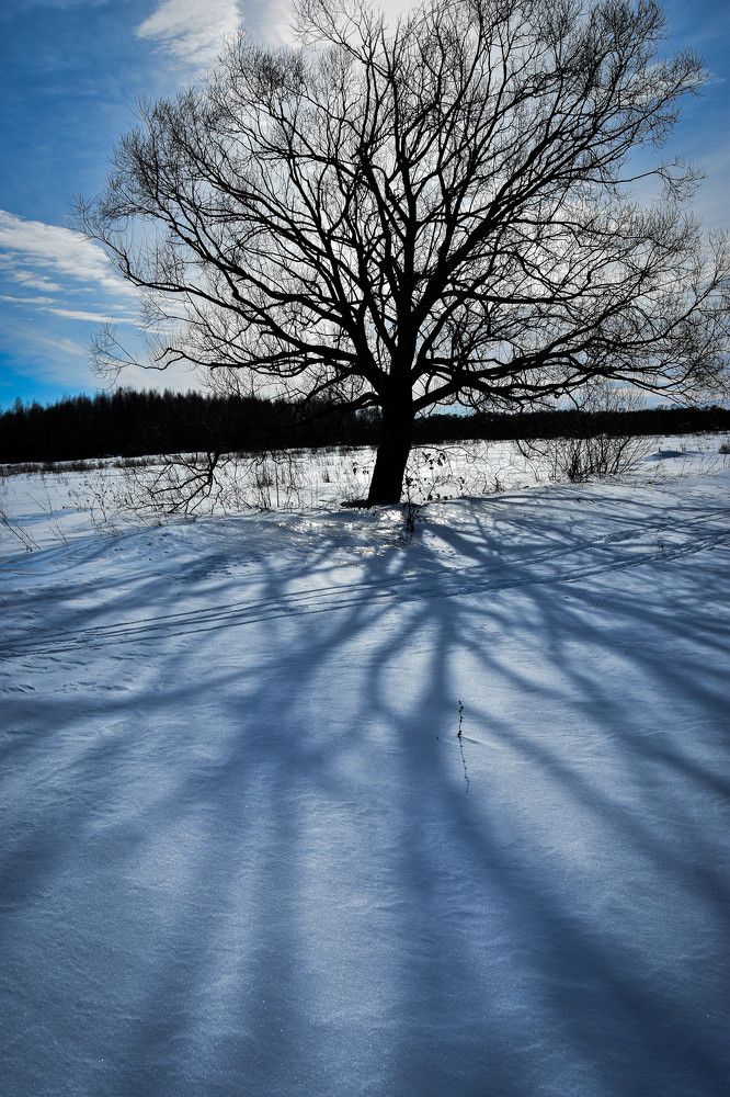 Photograph by Валерий Гудков