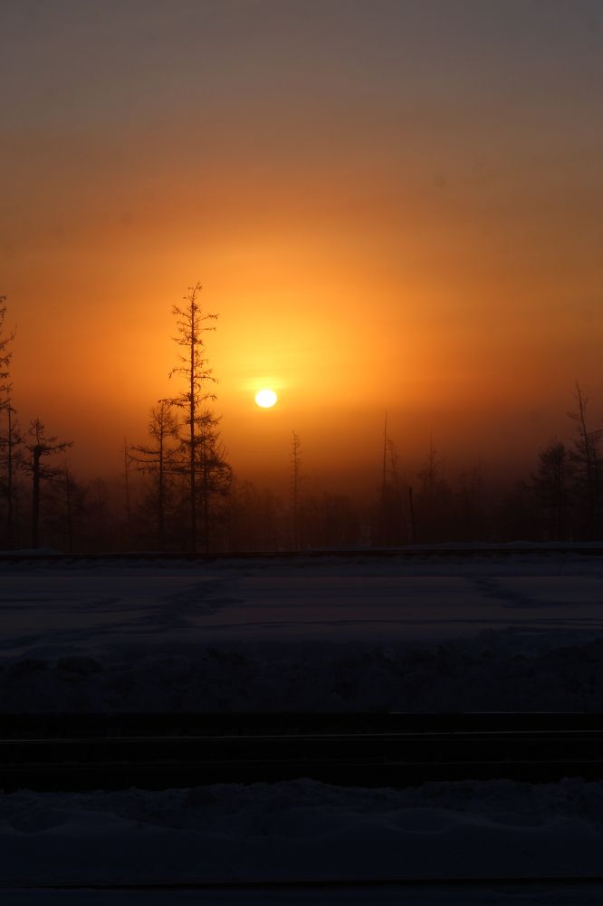 Photograph by Михаил Мархинин