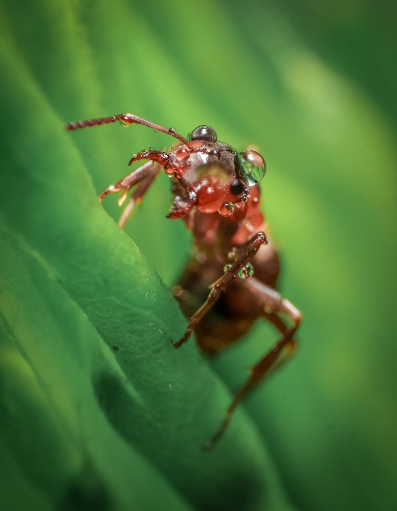 Photograph by Игорь Васильев