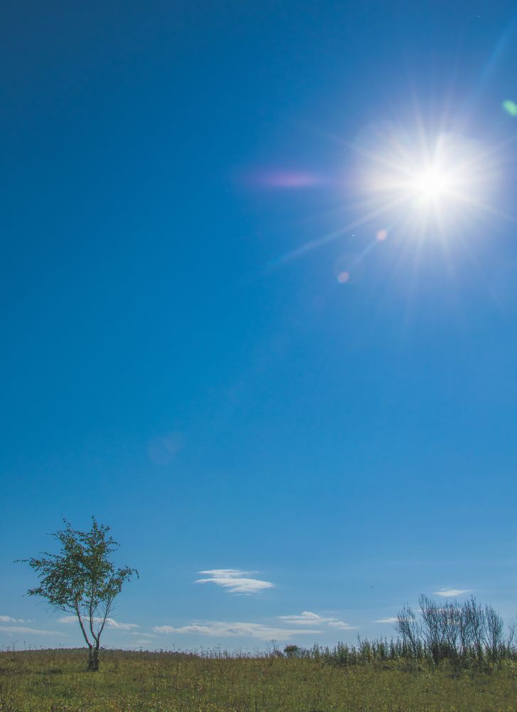 Photograph by Игорь Черемных