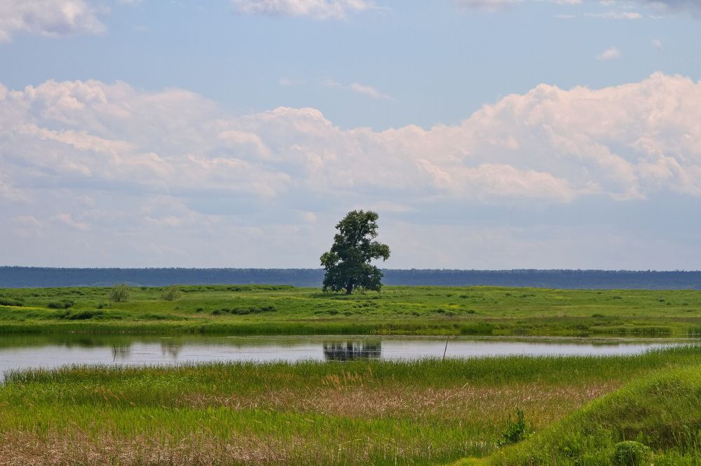 Photograph by Алексей Хазов