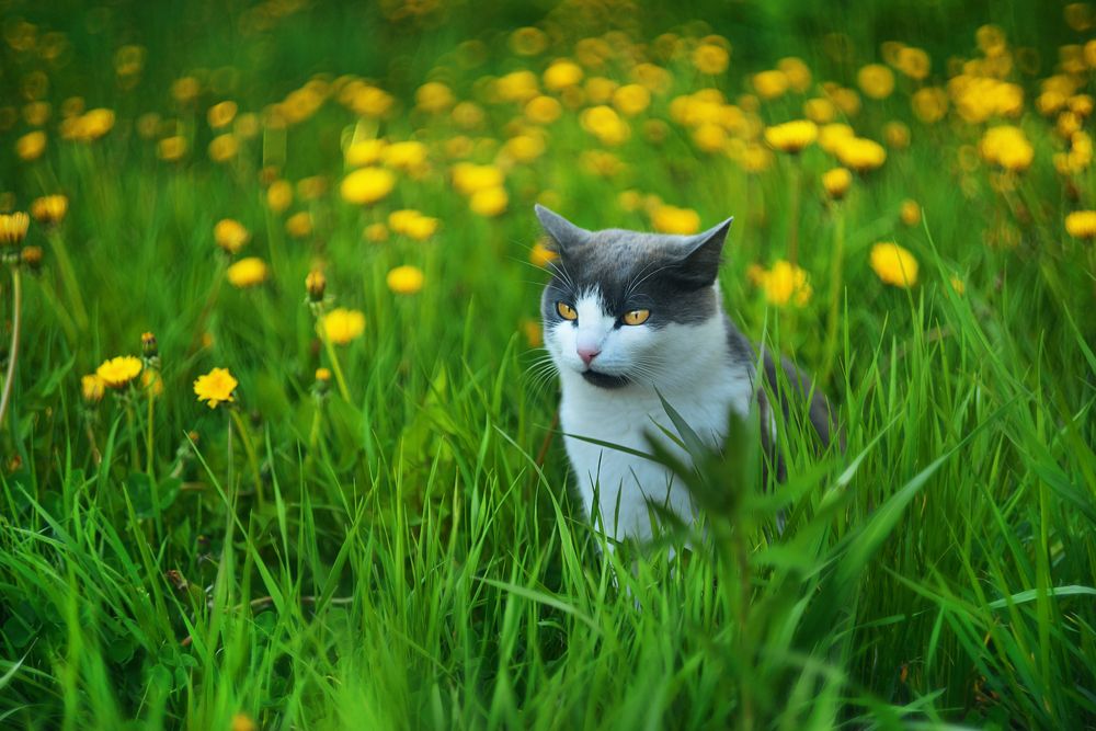 Photograph by Лапшина Владлена