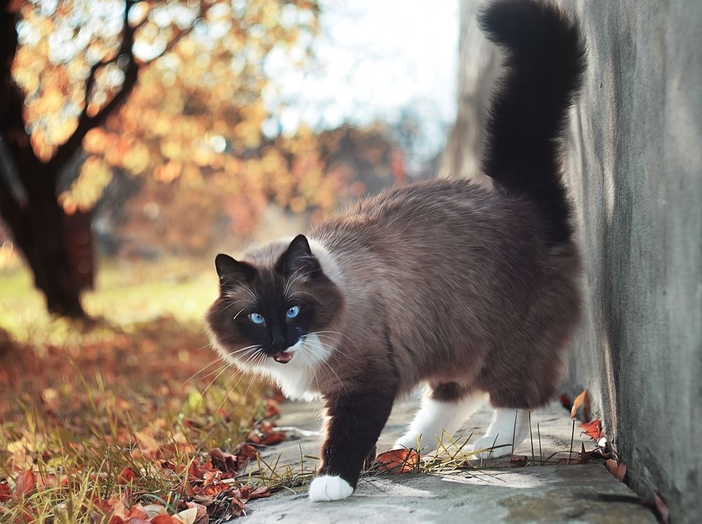 Photograph by Лапшина Владлена