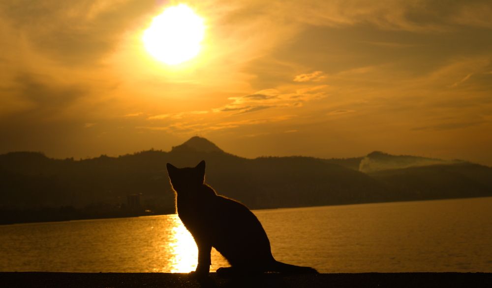 Photograph by Bilal Akbulut