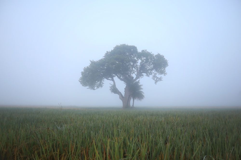 Фотография автора Sachin Gaurav