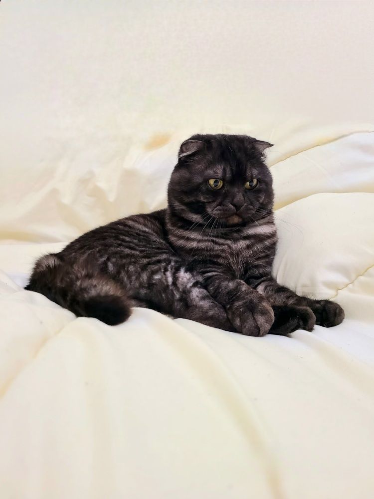 Photograph by Татьяна Бухтиярова