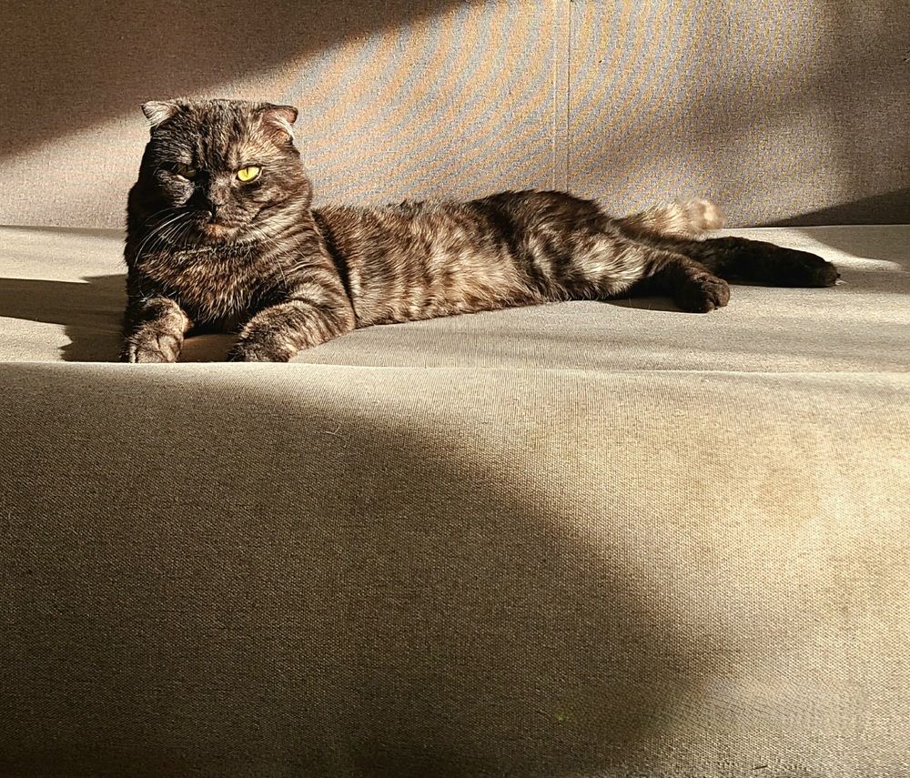 Photograph by Татьяна Бухтиярова