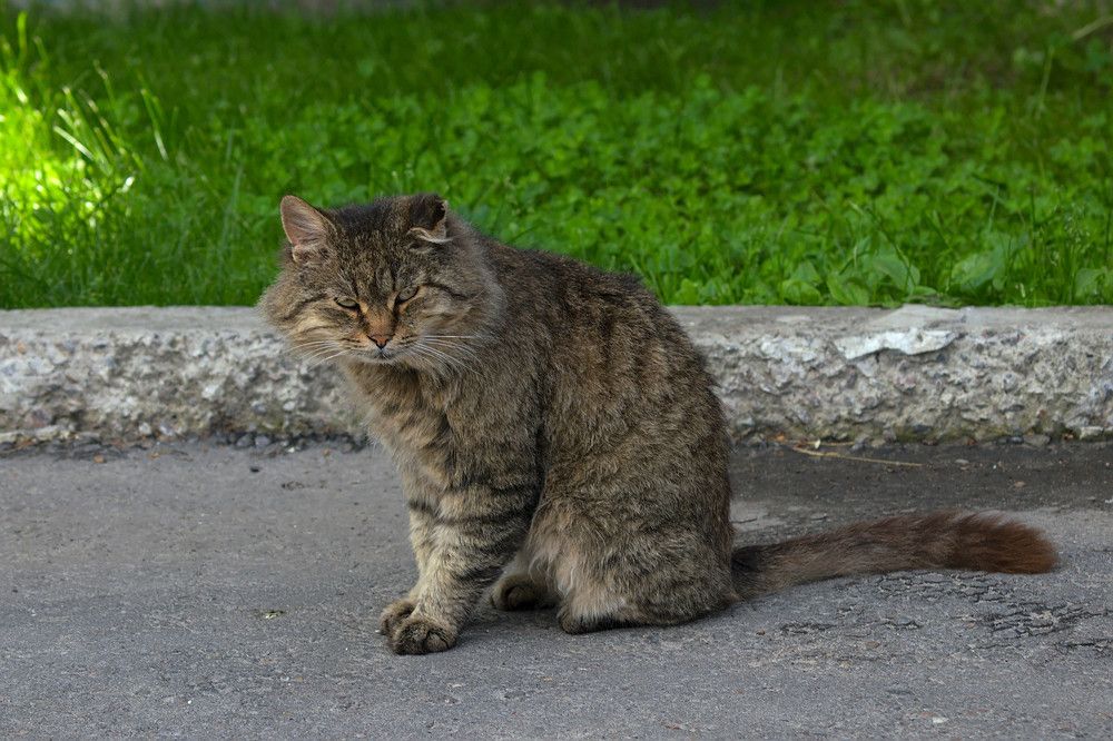 Photograph by Евгений Беленков