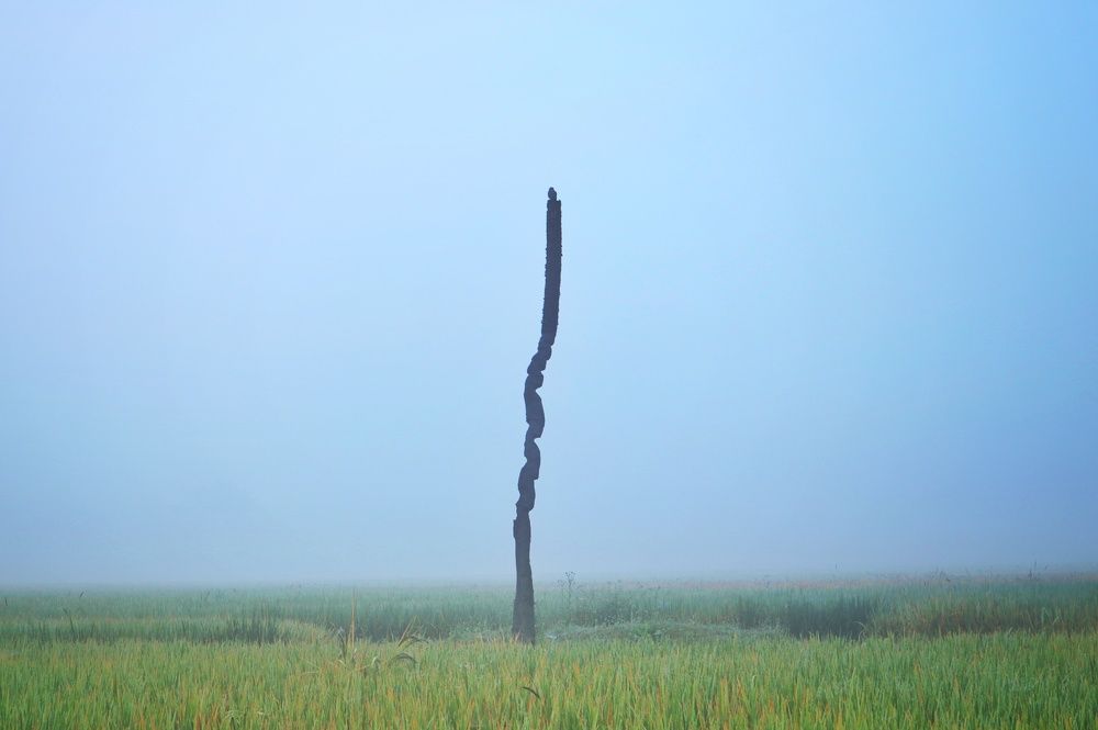 Фотография автора Sachin Gaurav