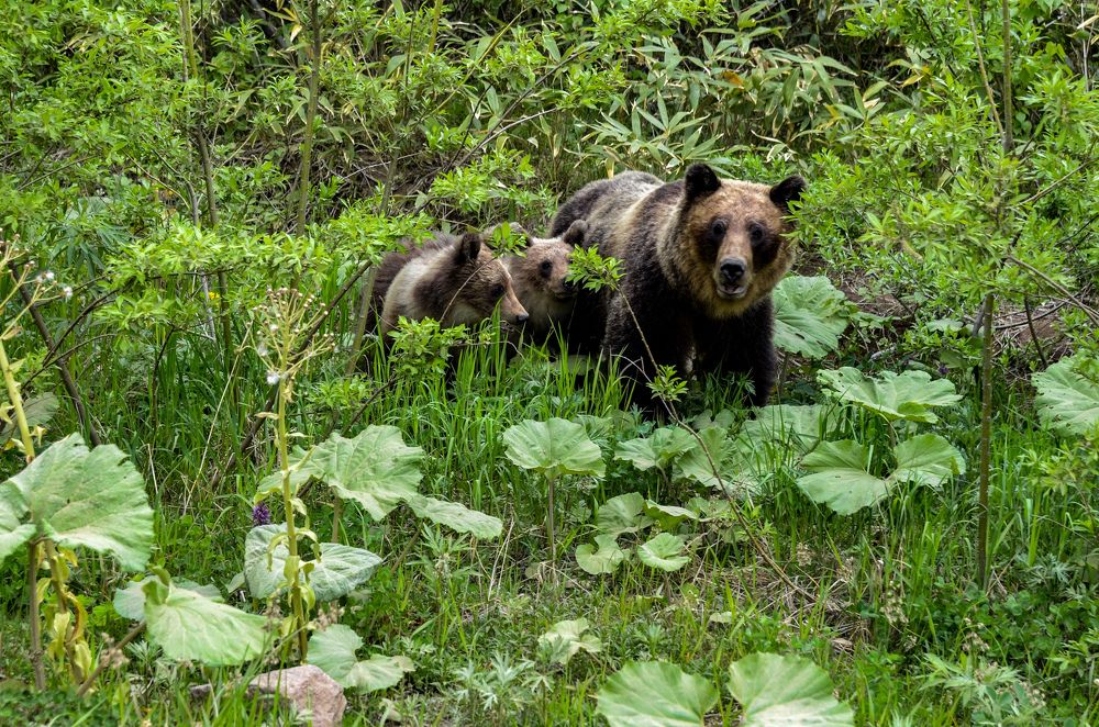 Photograph by Yrii Usoltsev