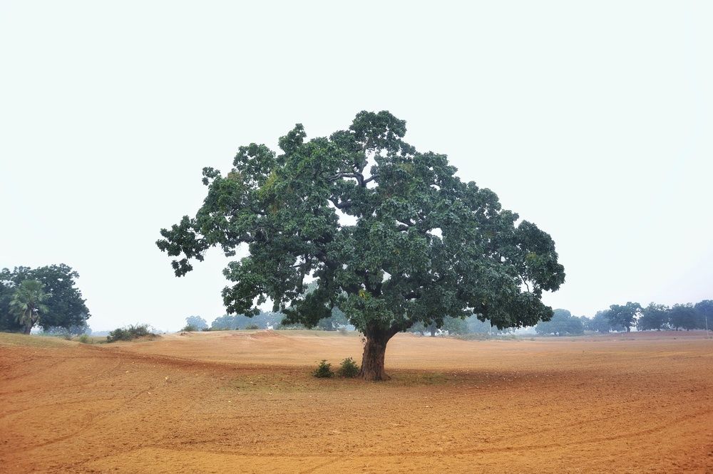 Фотография автора Sachin Gaurav