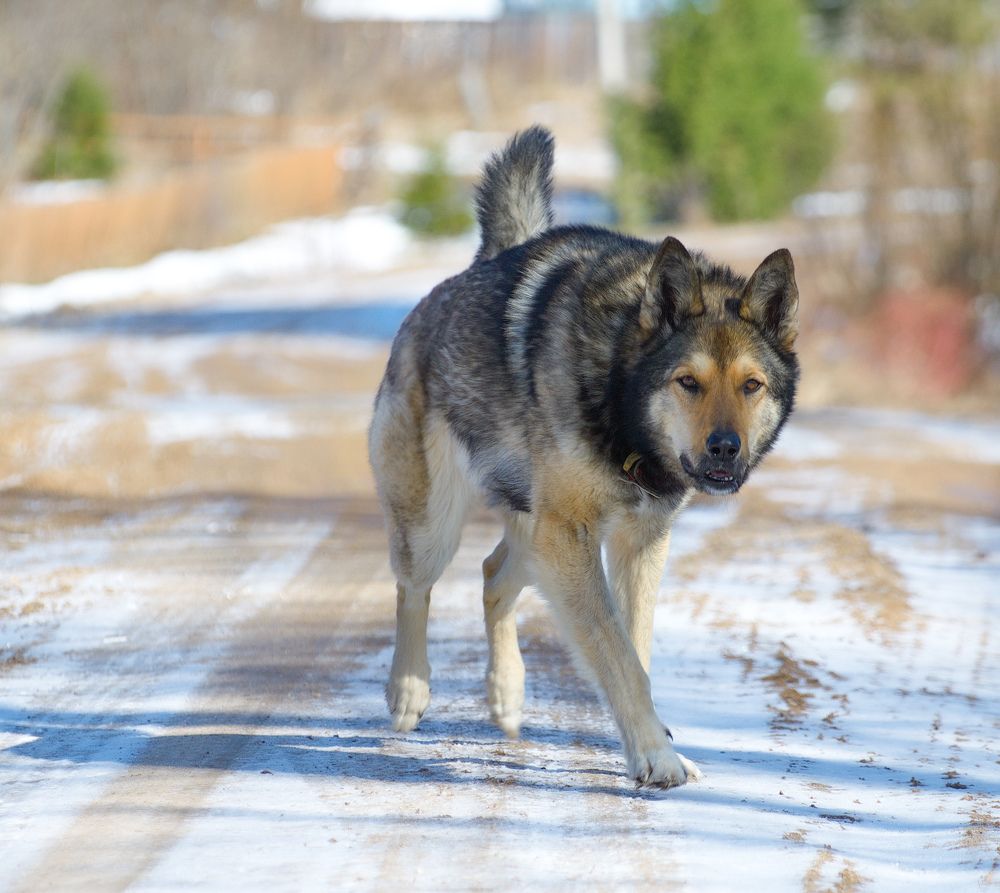 Photograph by Сергей Булат