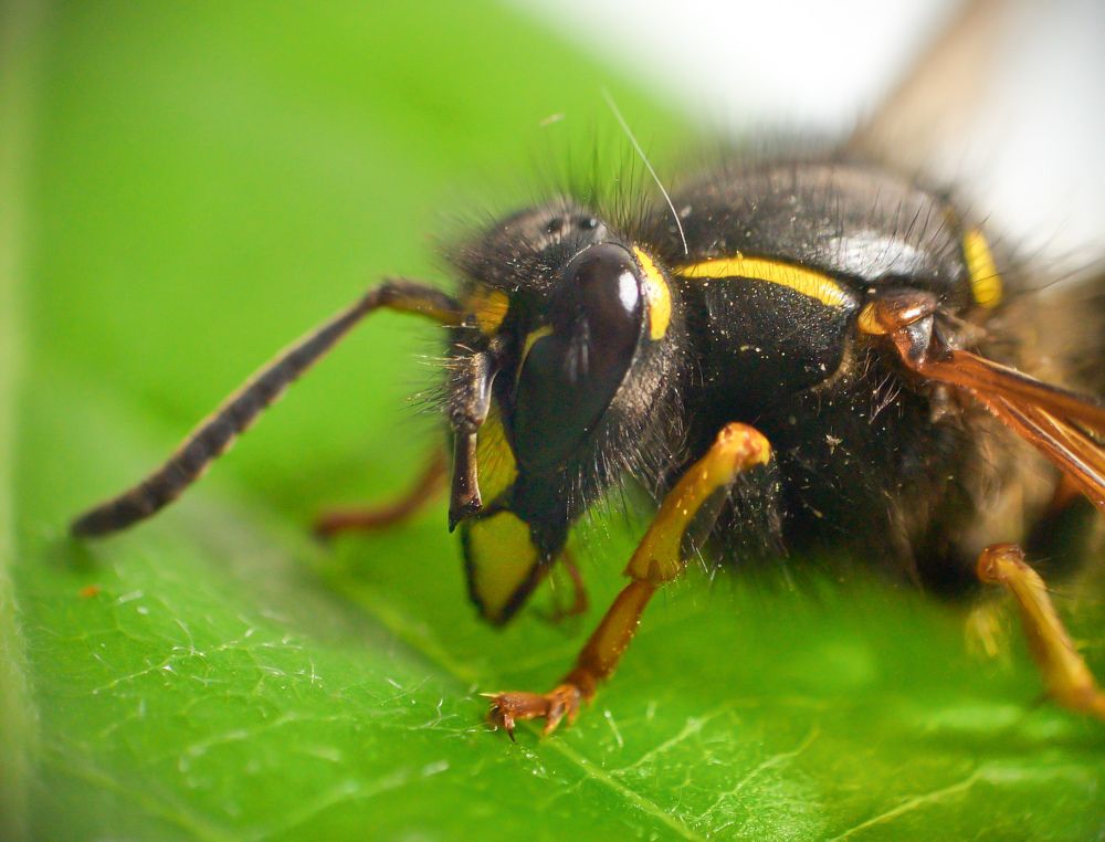 Photograph by Сергей Булат