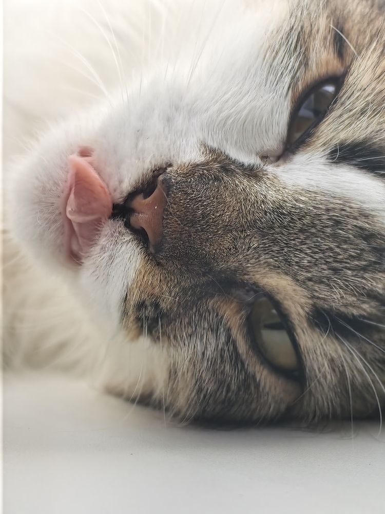 Photograph by Юлия Дюканова