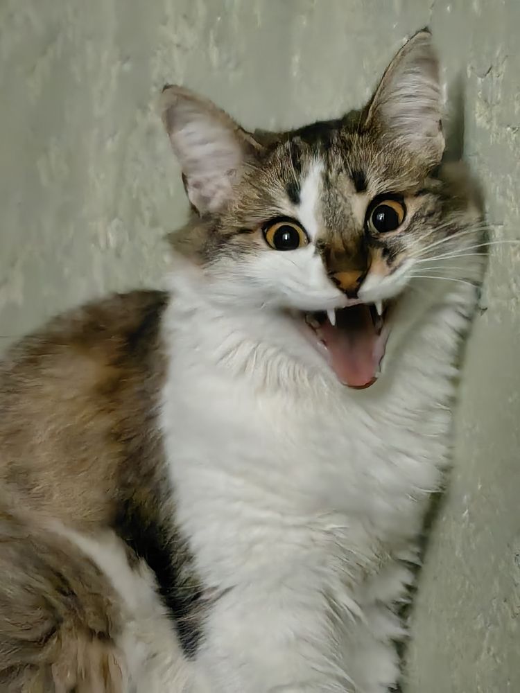 Photograph by Юлия Дюканова