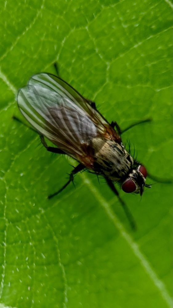 Photograph by Юлия Зель-Жилинская