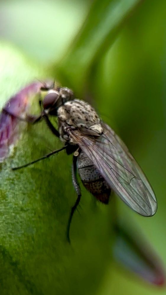 Photograph by Юлия Зель-Жилинская