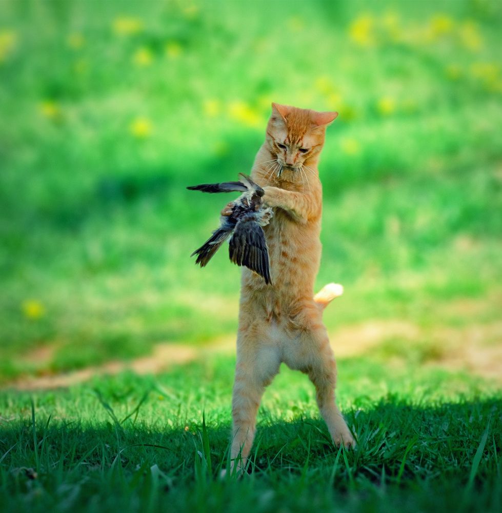 Photograph by Natalia Bolotenkova