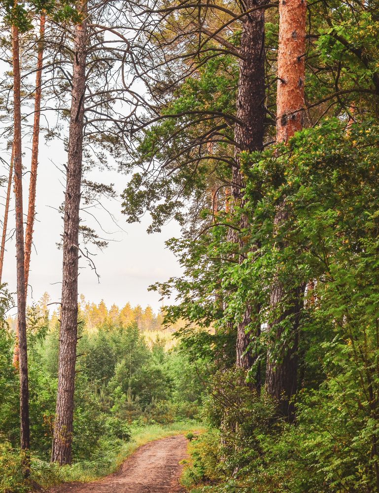 Прогулка по знакомым тропам