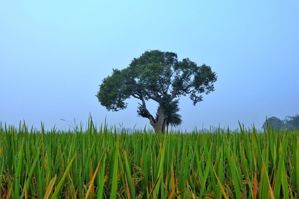 Фотография автора Sachin Gaurav